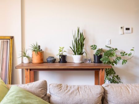 302/3 Eve Street, Erskineville NSW 2043 - Apartment For Rent | Domain - Photo 3