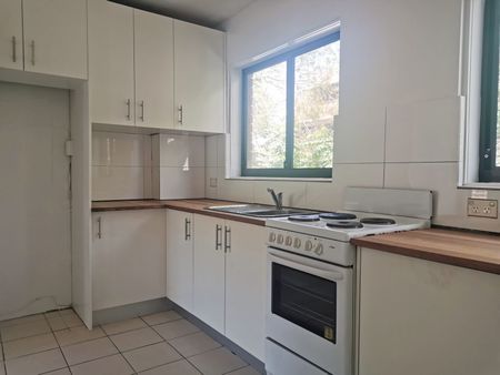 Light Filled Apartment in Heart of Dee Why - Photo 4