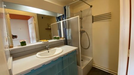 Location Appartement 1 pièce 19m² LATTES 34970 - Photo 3