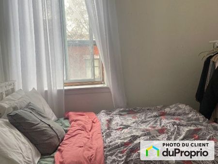 3477, rue Saint-Dominique, Le Plateau-Mont-Royal à louer - Photo 2
