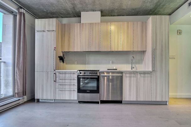 Appartement à louer à Montréal (Ville-Marie) - Photo 1