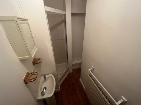 Habershon Street, Cardiff - Photo 3