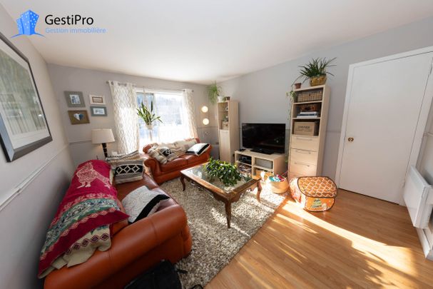 1330-1332 route Marie-Victorin - Photo 1