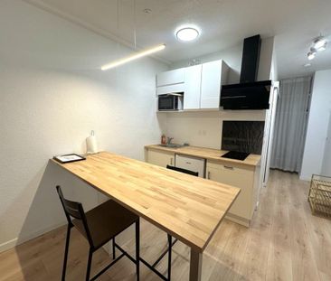 Location Appartement 1 pièce Meublé 31m² BORDEAUX 33000 - Photo 4