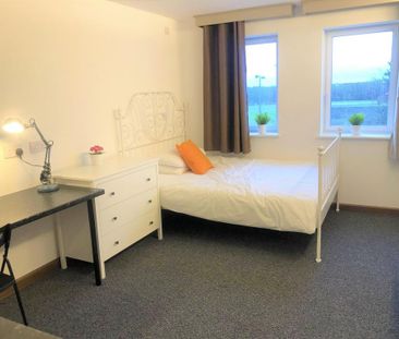 Studio to rent - Photo 5