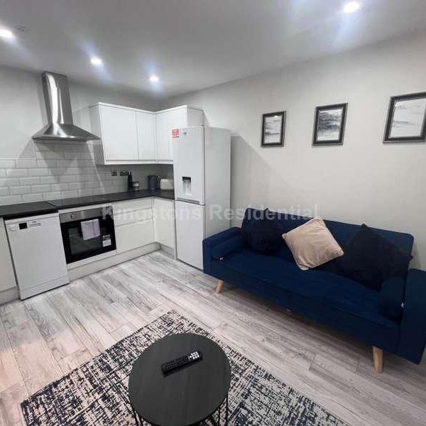 Albany Road, Roath, Cardiff, CF24 - Photo 1