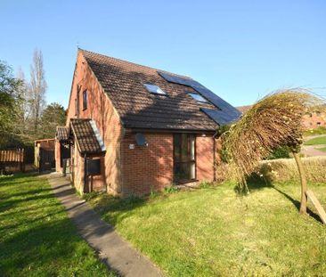 1 bedroom cluster house to rent - Photo 6