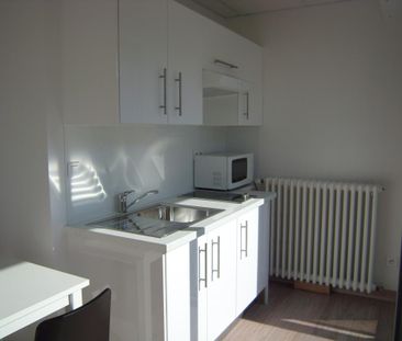 Location Appartement 1 pièce Meublé 21m² ANNECY 74000 - Photo 2