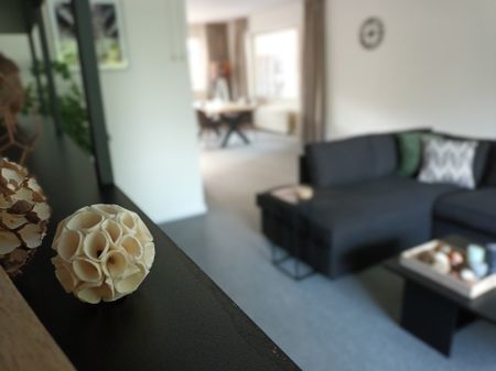 Poolster 220 - Foto 2