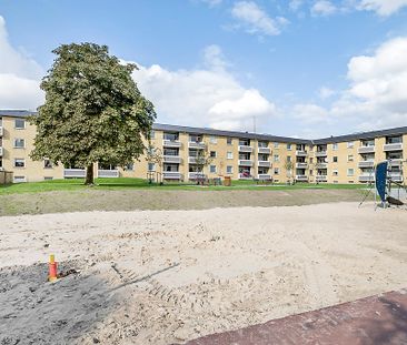 Afd. 24 Ungskuepladsen - Photo 5