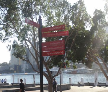 Unit 14/209 Harris Street, Pyrmont NSW 2009 - Apartment For Rent | ... - Photo 5