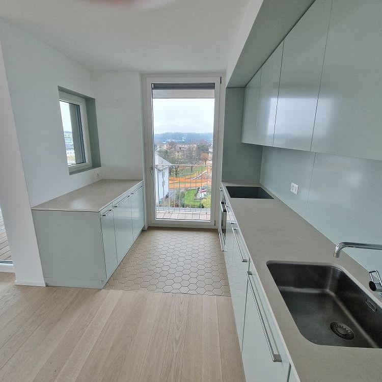 Grand appartement de 3 pièces de 71m2 avec très belle vue sur les Alpes - Photo 1