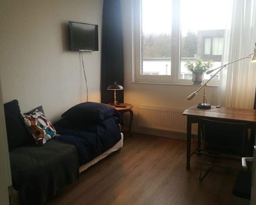 Chambre Driebanstraat, Amsterdam - À louer - Foto 1