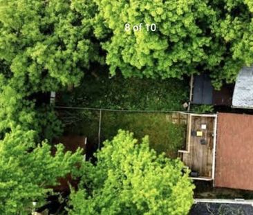 For Lease - 42 Fergus Avenue Unit# UNIT 2, Richmond Hill, Ontario - Photo 2