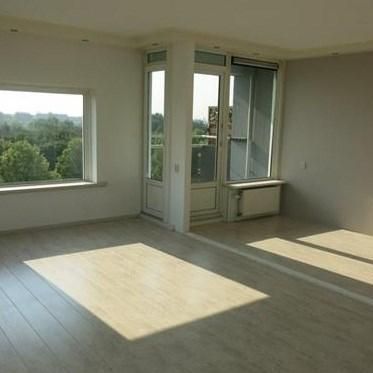 Burgemeester Hazenberglaan 0ong, 3078 Rotterdam, Nederland - Photo 4
