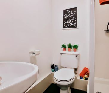 Classic Studio - Limited View - Photo 1