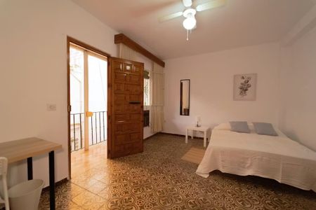 Calle Lucena, Sevilla, Andalusia 41006 - Photo 4