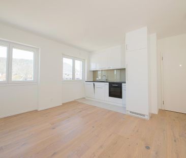 Sanierte 4.5 Zimmerwohnung mit Weitsicht - Photo 1