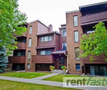 Great Building in Prime Location — 1 Bedroom Apartment - Photo 1