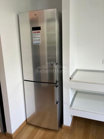 Large Three Bedroom Flat with Terrace - Kiseleff - Photo 5