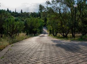 Μονοκατοικία για ενοικίαση - Θερμαϊκός, - Photo 5