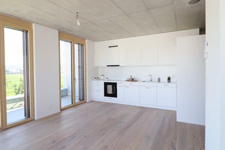 Moderne 2,5 Zimmerwohnung zu vermieten - Photo 3