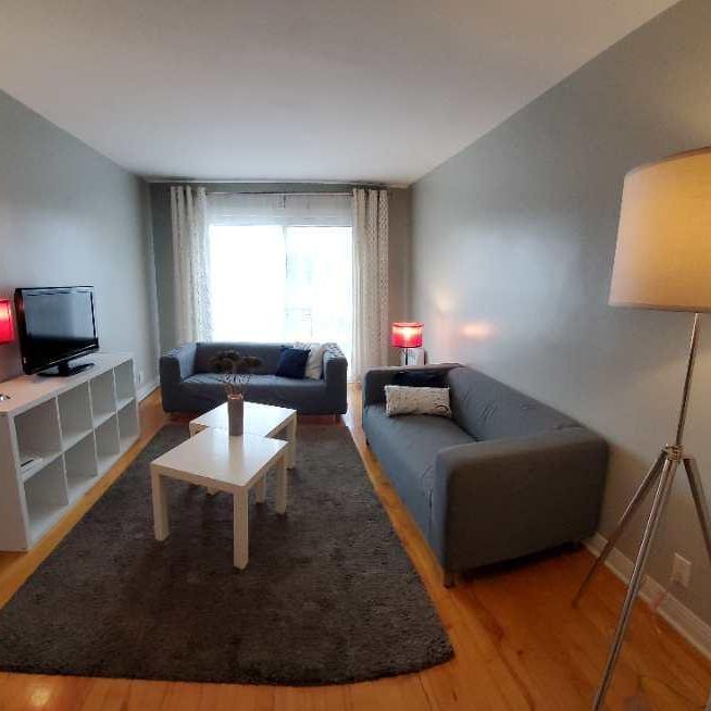 Grand 4 1/2 dernier étage/meublé/stationnement - FACE MÉTRO VIAU - Photo 1