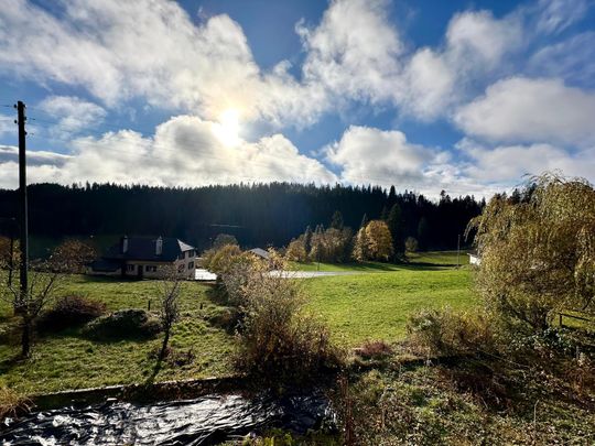 À louer charmant appartement 4.5 pièces dans une petite maison familiale - Photo 1