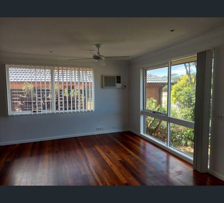 11 Pepler Place, Thornton, NSW 2322 - Photo 5