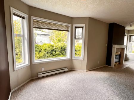 Swan - 204 - Photo 3