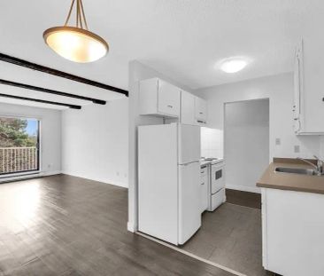 Vista Terrace Apartments — 1 Bedroom available at 7465 - 13 Avenue,... - Photo 4