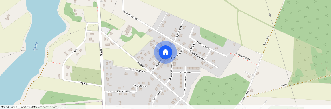 ul. Porzeczkowa, Radzyny, Kaźmierz, szamotulski, wielkopolskie