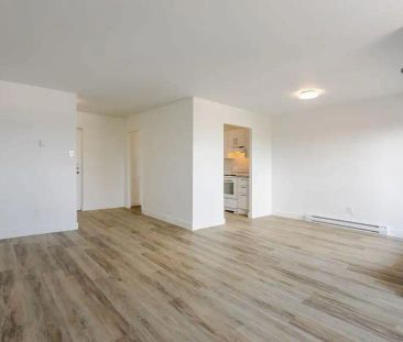 2705 MODUGNO — 4.5 - Photo 4