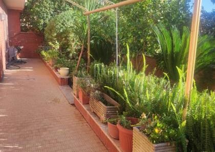 Monteverde Vecchio-Terrace: Furnished 2 Bedroom, 2 Bath, spacious kitchen, living, large private terrace and garden. Bright, silent, near shops, services and transport, located on a quite street in a well kept building. Possible parking. Ref 2375