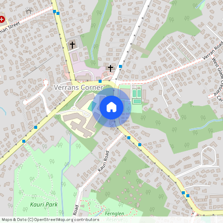 50 Waipa Street, Birkenhead, North Shore City