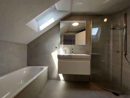 MODERN MEETS CHARM / WITH LARGE TERRACE - Photo 5