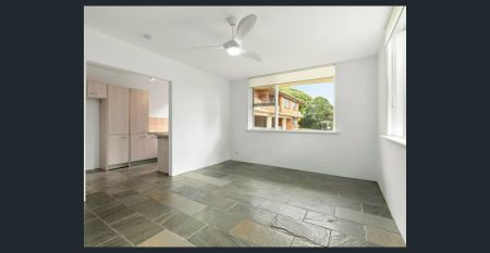 Ground Floor Sun Filled Apartment | $665 Per Week - Photo 3