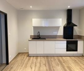 Location Appartement 2 pièces 41m² - Photo 4