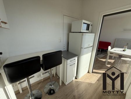 Location Appartement 1 pièce Meublé 25m² NANCY 54000 - Photo 4
