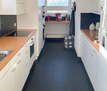 Traumhafte Attika-Maisonette-Wohnung mit fantastischer Aussicht - Foto 6