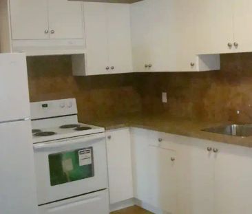 EXECUTIVE LARGE 02 BED RMS, Separate Ent/ Laundry, Fenced Backyard ... - Photo 1