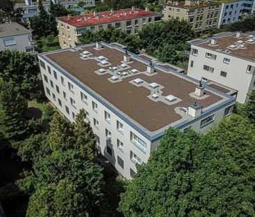 Schöne 4.5 Zimmerwohnung mit grossem Balkon in Allschwil - Foto 1