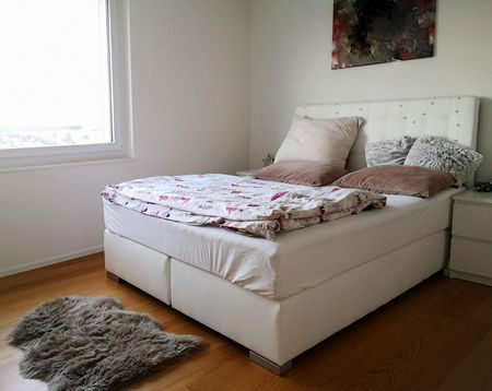 Exklusive 2.5-Zimmer-Wohnung mit Rheinblick - Photo 2