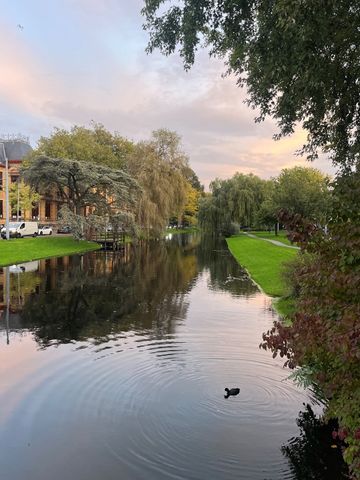 Noordsingel 48A03 A, 3032 BE, Rotterdam - Photo 3