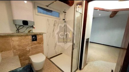 Location Appartement 1 pièce 41m² GONFARON 83590 - Photo 4