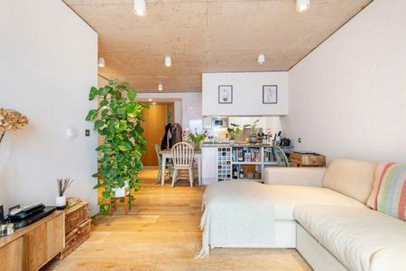 Mentmore Terrace, London Fields, E8 - Photo 2