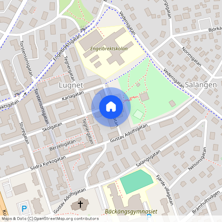 Alströmergatan, Borås