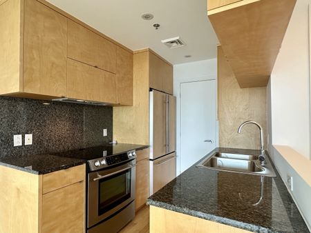 250 Chemin de la Pointe Sud, #2206 - Photo 5