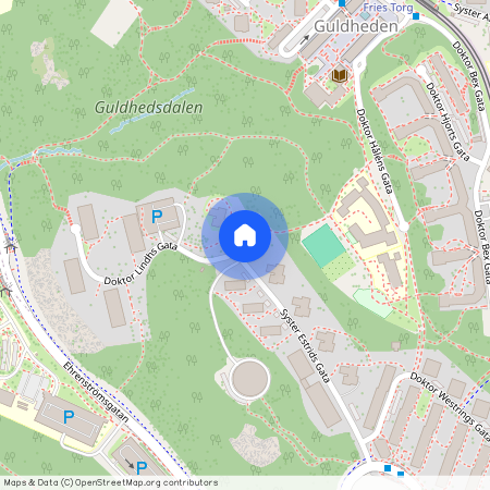 Guldheden, Göteborg, Västra Götaland, Syster Estrids gata 13