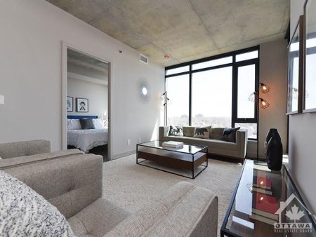 For Lease - 203 CATHERINE Street Unit# 209, Ottawa Centre, Ontario - Photo 3